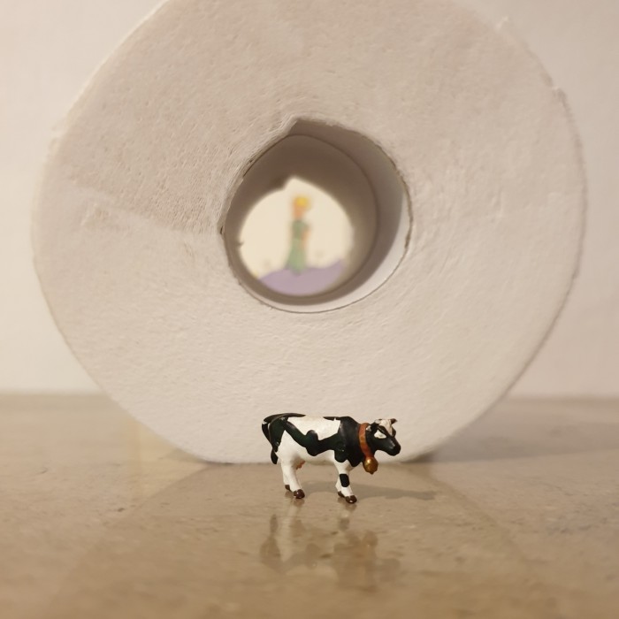 It is Easier for a Cow to go Through the Cardboard Tube of a Toilet Roll
than it is for a Rich Man to Enter the Kingdom of a Child